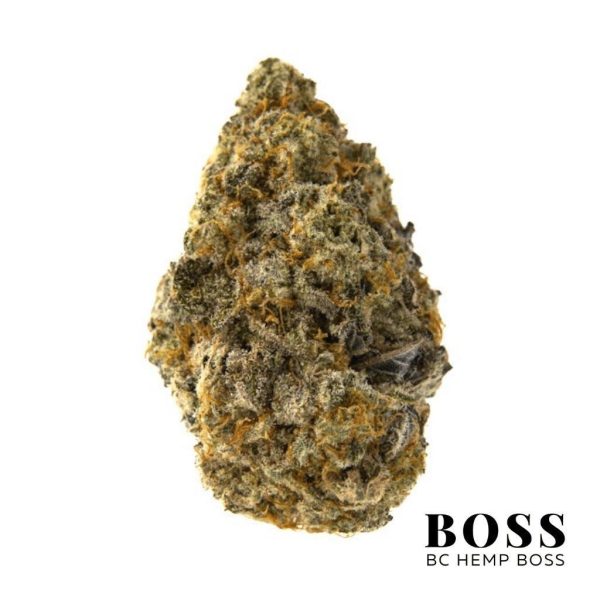 Alien-Cookies-1