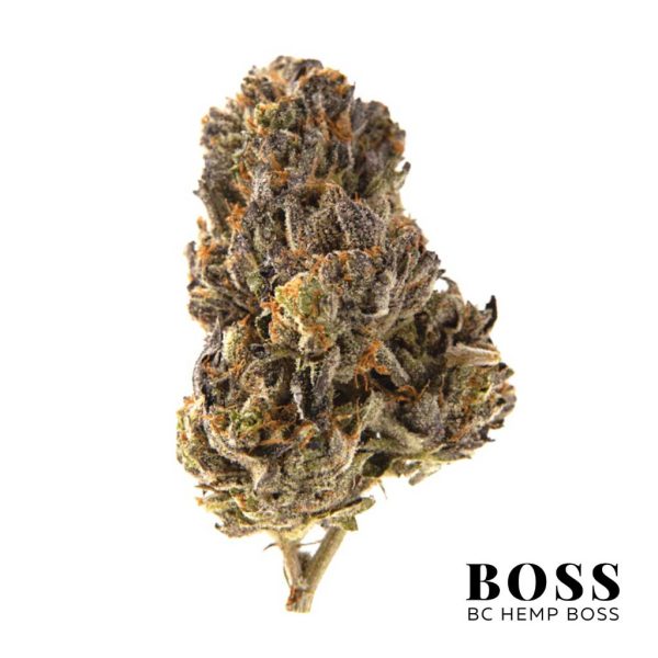 Black-Gas-1