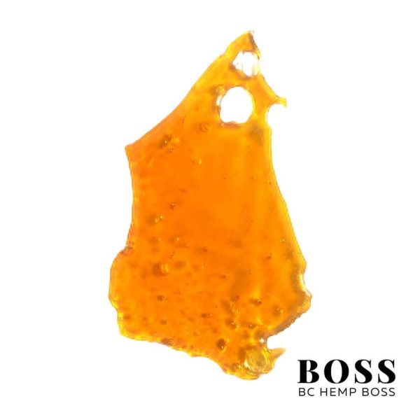 Rozay - 1-optimized