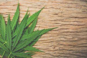 Psychedelics for medical purposes