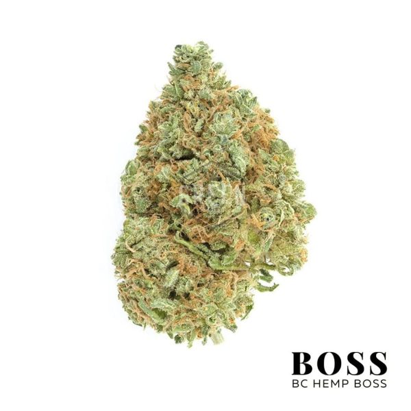 Amnesia-Haze
