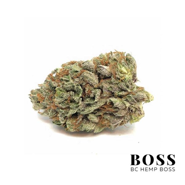 GodFather OG