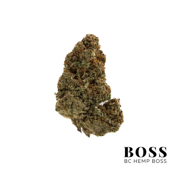 Apple-Sherbet