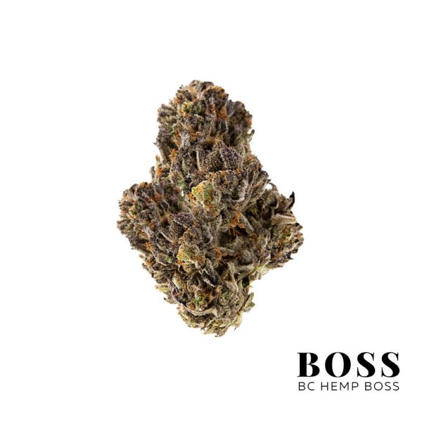 Black-Bubba-AAAA