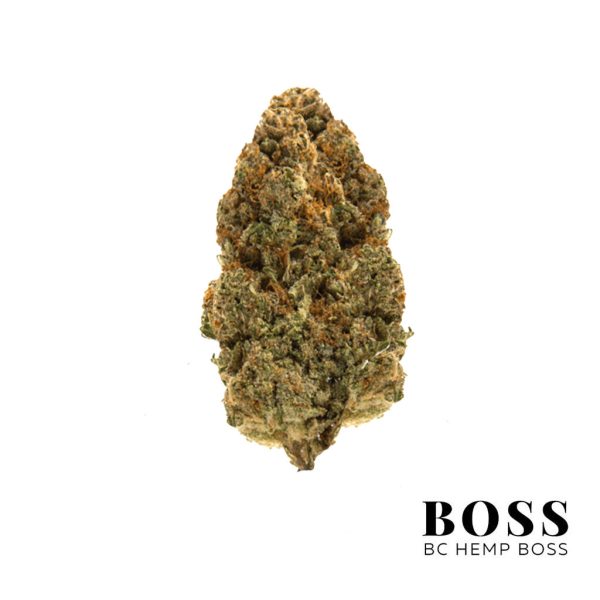 Gorilla-Cookies-AAA