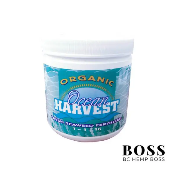Organic-Ocean-Harvest