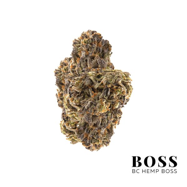 Forbidden-Fruit-AAAA