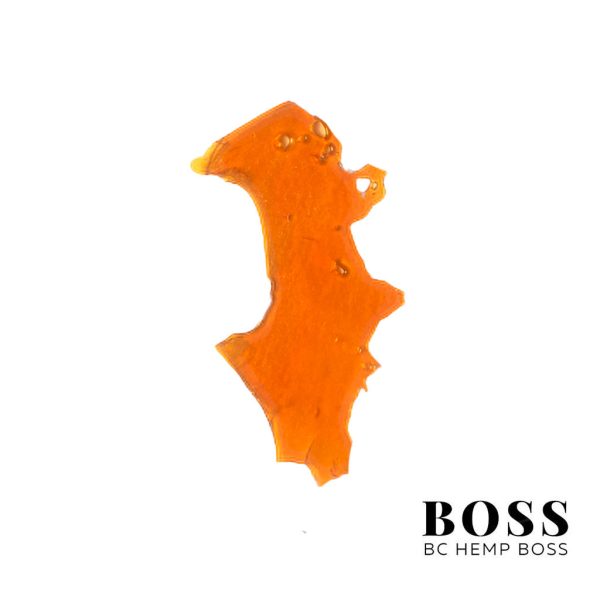 Gush-Mintz-Shatter