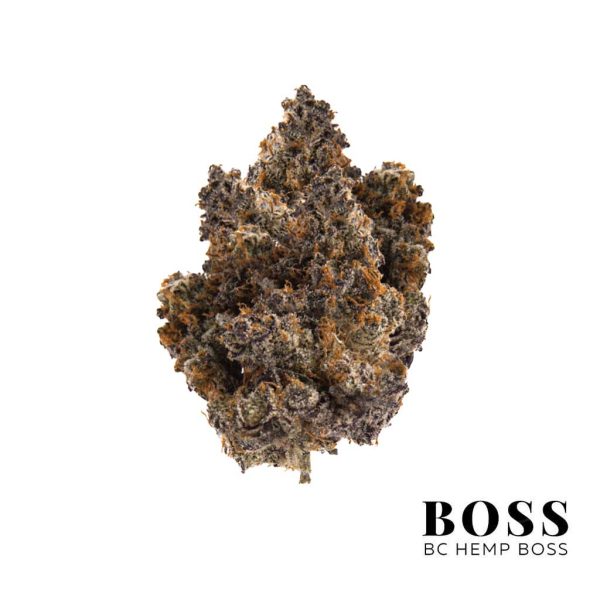 Bacio-Gelato