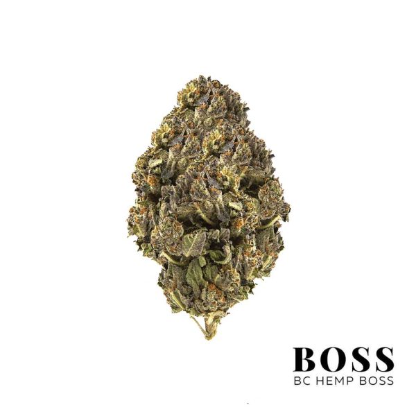 THC Bomb
