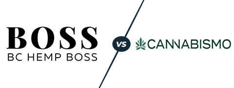 bchb vs cannabismo