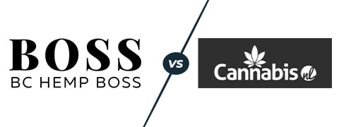 bchb vs cannabisnl