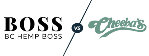 bchb vs cheebas