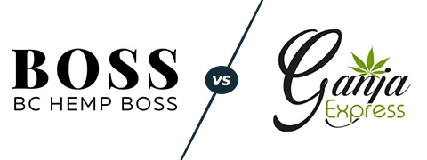 bchb vs ganja express
