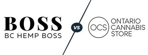 bchb vs ocs