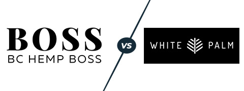 bchb vs white palm