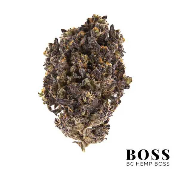 alexander the grape strain