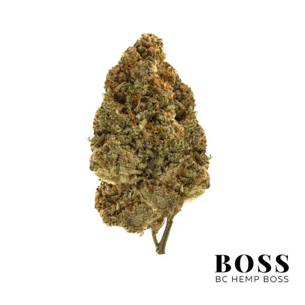 ace high strain