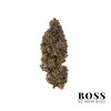 jealousy weed strain