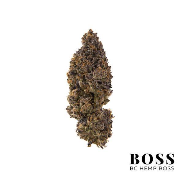 jealousy weed strain