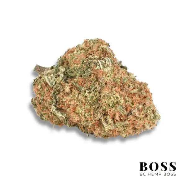 super silver haze strain