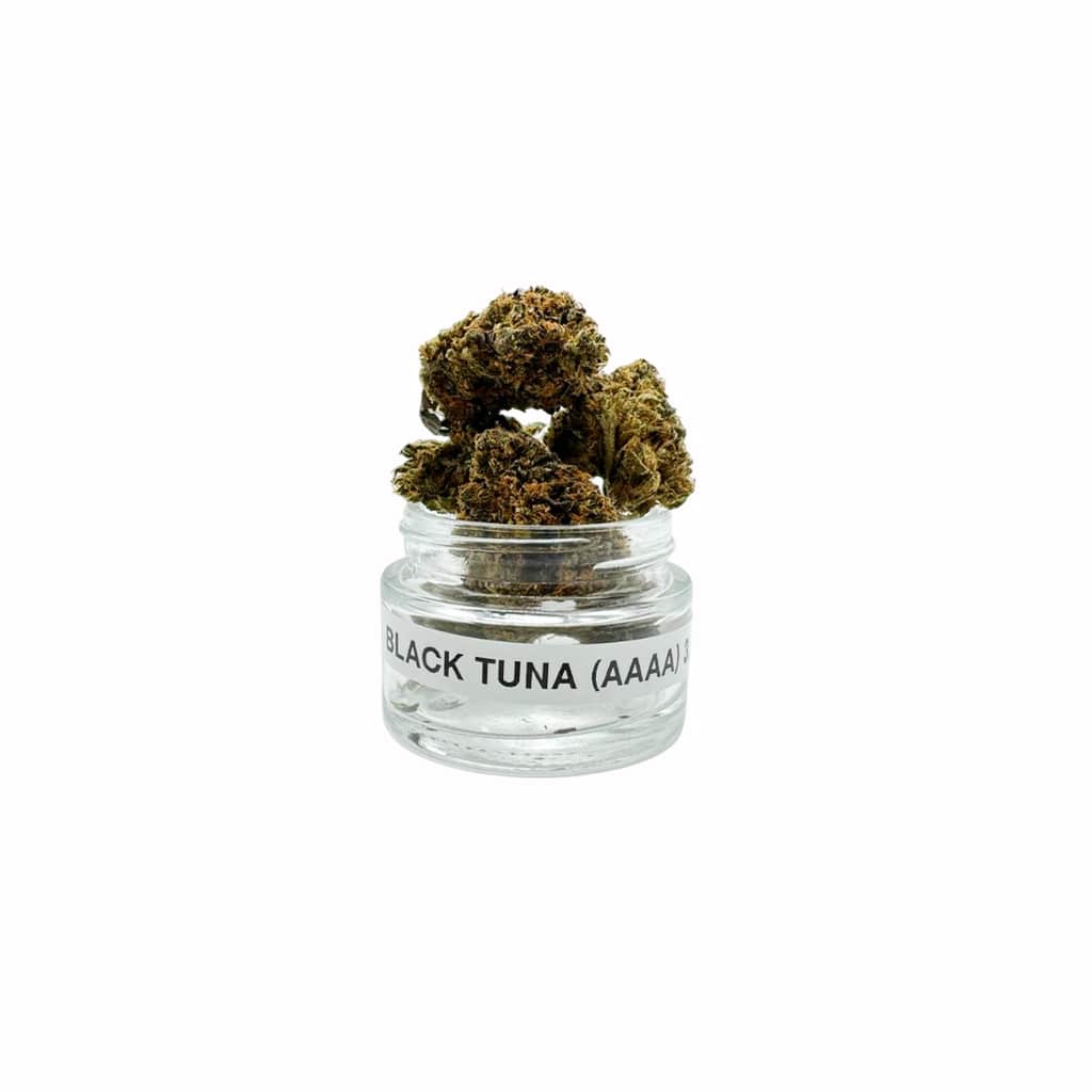 Black Tuna (AAAA) 3.5gm - Image 2
