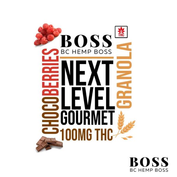 Next Level Gourmet - Dark Chocolate & Red Berries Premium Granola - 100 mg THC
